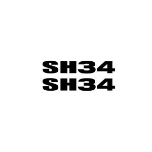 ADESIVI SH34