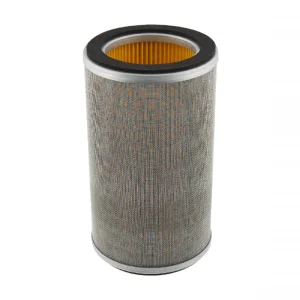 Filtro Aria Champion CAF0932