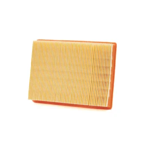 Filtro Aria Champion CAF9001