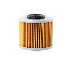 Filtro olio Champion COF469